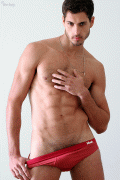 Fernando Sippel